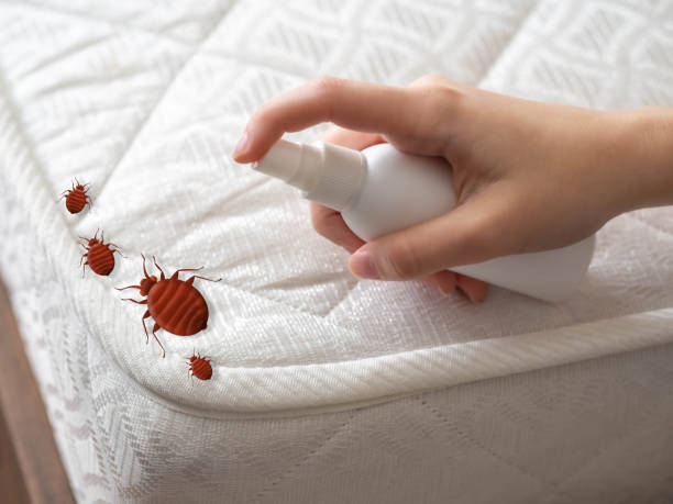 Trusted Belvedere Park, GA Pest Control Experts