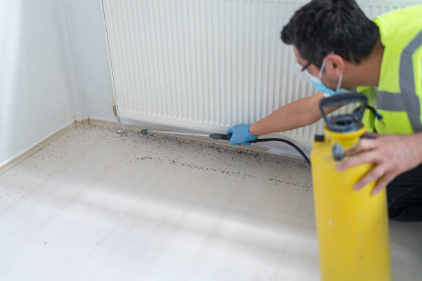 Best Emergency Pest Control  in Belvedere Park, GA